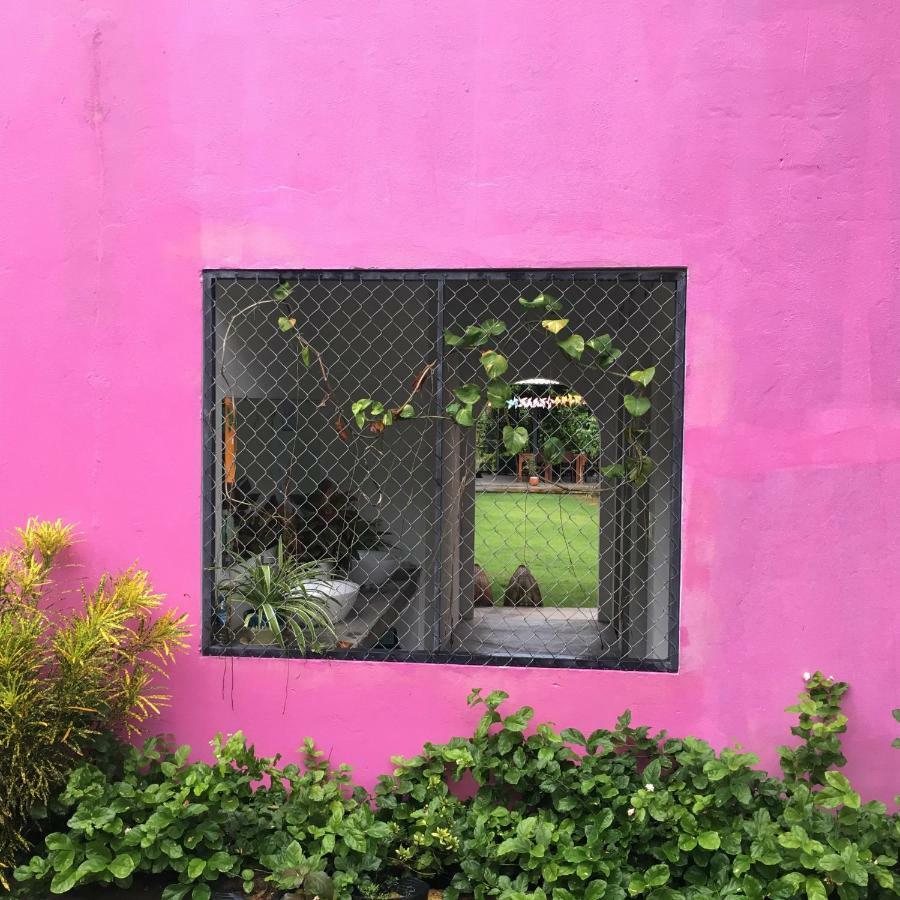Lana Land Homestay Duong Dong Exterior foto