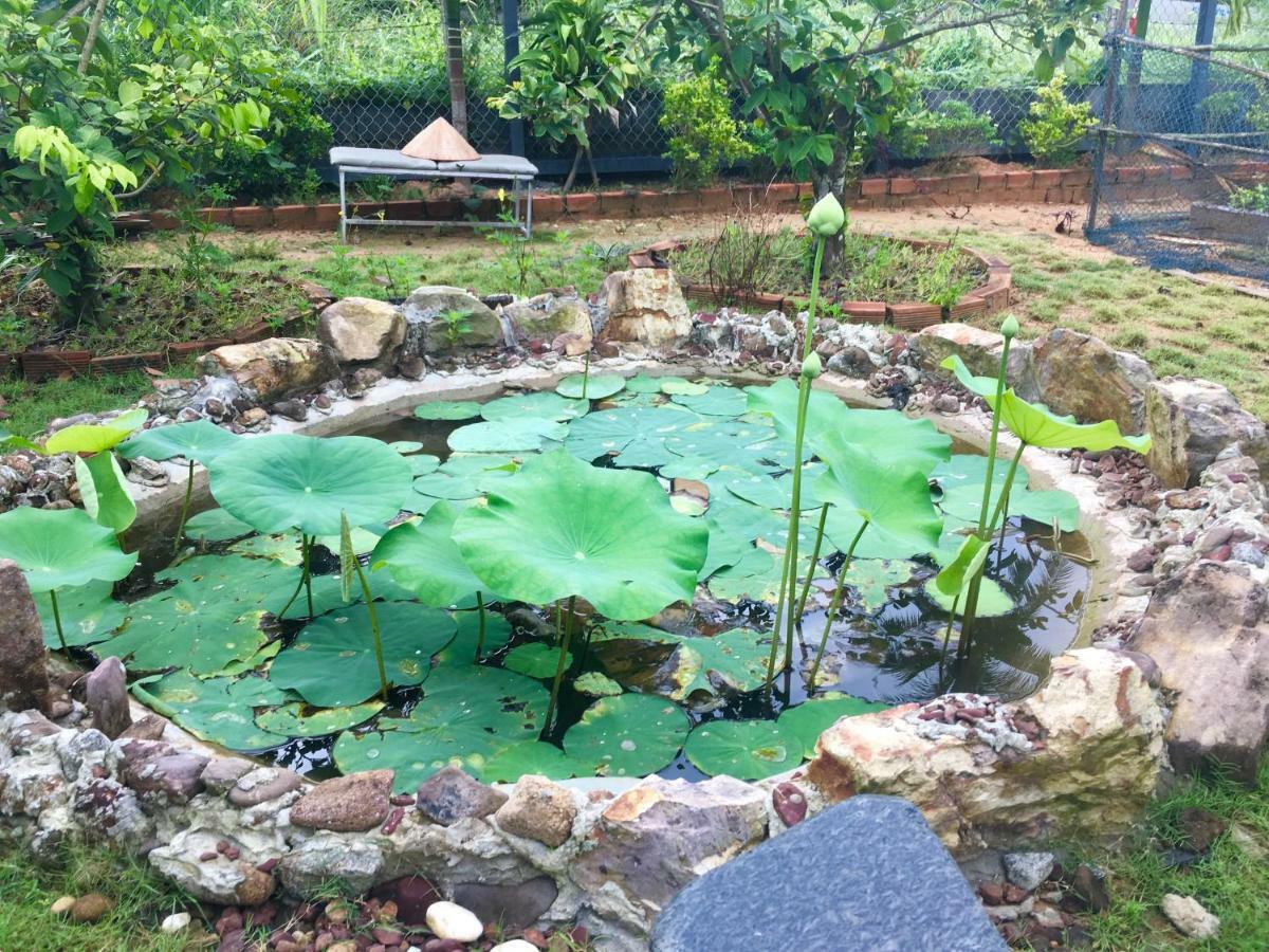 Lana Land Homestay Duong Dong Exterior foto